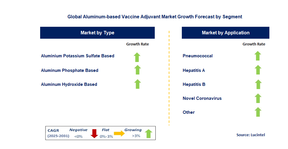 Aluminum-based Vaccine Adjuvant Market by Segment